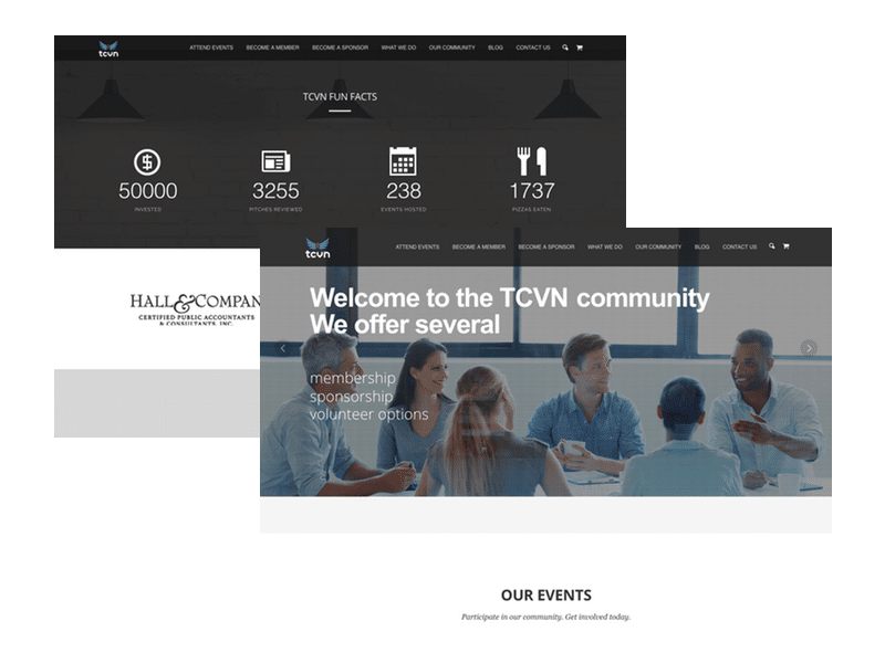 TCVN Website Development